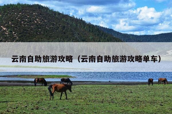 云南自助旅游攻略（云南自助旅游攻略单车）