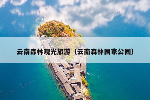 云南森林观光旅游（云南森林国家公园）