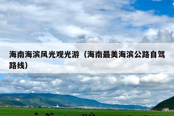 海南海滨风光观光游（海南最美海滨公路自驾路线）