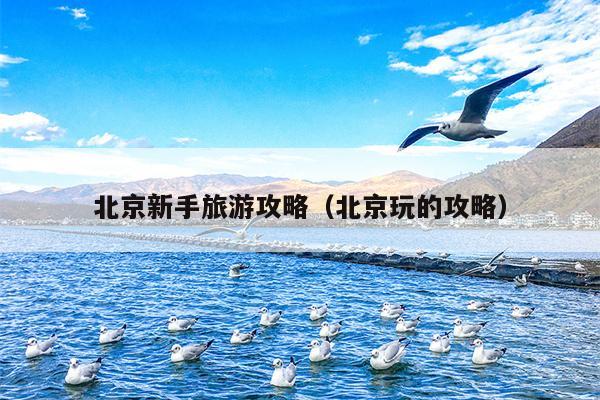 北京新手旅游攻略（北京玩的攻略）