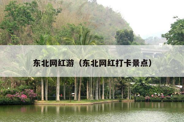 东北网红游（东北网红打卡景点）