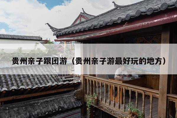 贵州亲子跟团游（贵州亲子游最好玩的地方）