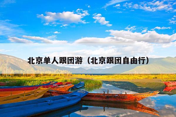 北京单人跟团游（北京跟团自由行）
