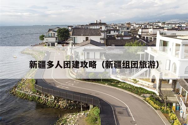新疆多人团建攻略（新疆组团旅游）