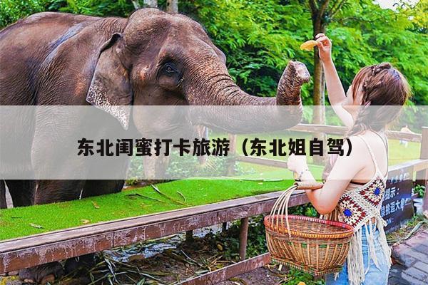东北闺蜜打卡旅游（东北姐自驾）