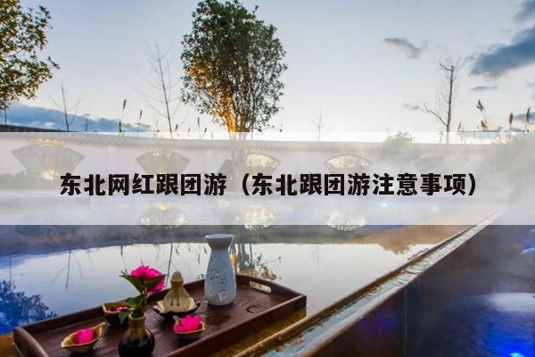 东北网红跟团游（东北跟团游注意事项）