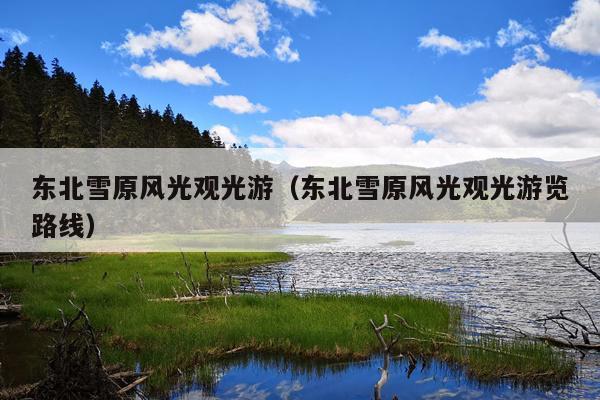 东北雪原风光观光游（东北雪原风光观光游览路线）