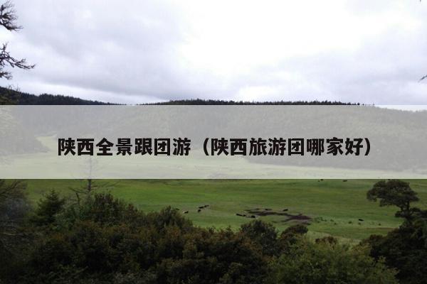 陕西全景跟团游（陕西旅游团哪家好）