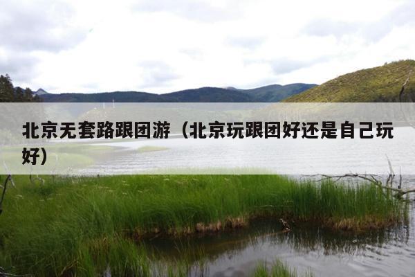 北京无套路跟团游（北京玩跟团好还是自己玩好）