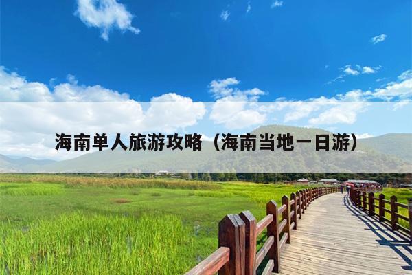 海南单人旅游攻略（海南当地一日游）