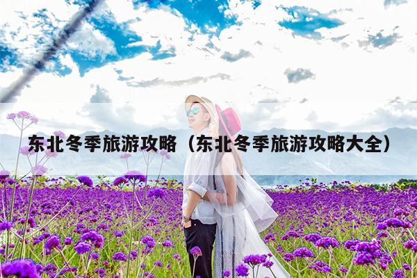 东北冬季旅游攻略（东北冬季旅游攻略大全）
