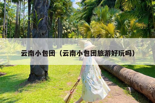 云南小包团（云南小包团旅游好玩吗）