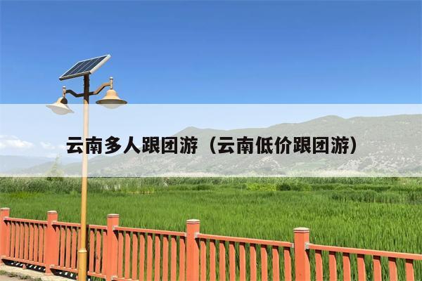 云南多人跟团游（云南低价跟团游）