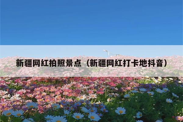 新疆网红拍照景点（新疆网红打卡地抖音）