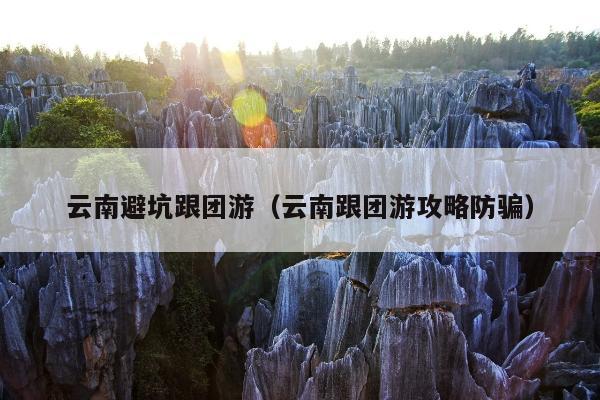 云南避坑跟团游（云南跟团游攻略防骗）