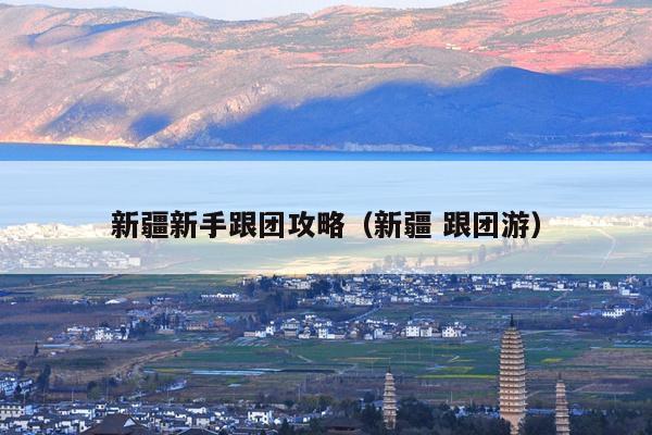 新疆新手跟团攻略（新疆 跟团游）