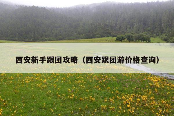 西安新手跟团攻略（西安跟团游价格查询）