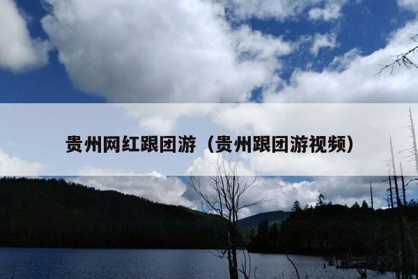 贵州网红跟团游（贵州跟团游视频）