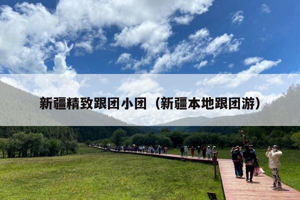 新疆精致跟团小团（新疆本地跟团游）