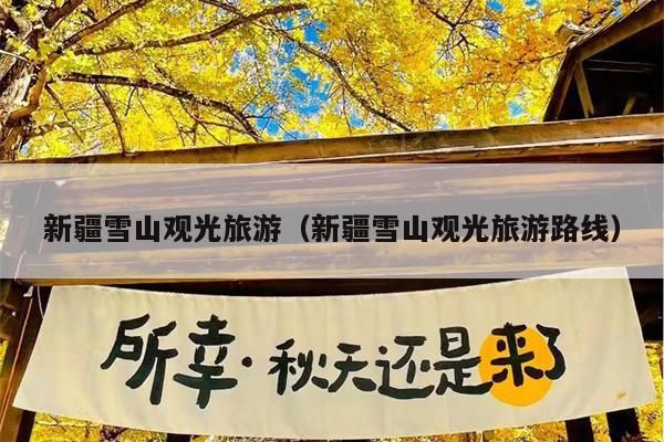新疆雪山观光旅游（新疆雪山观光旅游路线）
