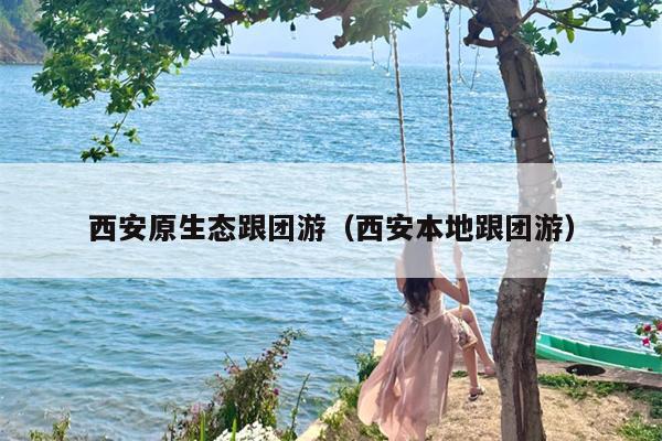 西安原生态跟团游（西安本地跟团游）