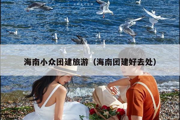 海南小众团建旅游（海南团建好去处）