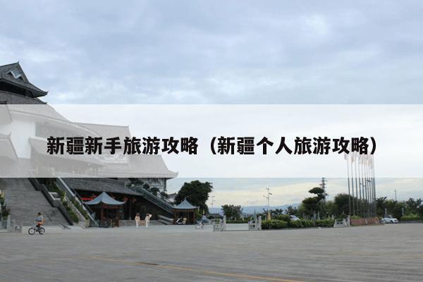 新疆新手旅游攻略（新疆个人旅游攻略）