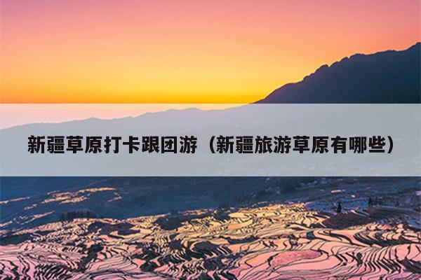 新疆草原打卡跟团游（新疆旅游草原有哪些）