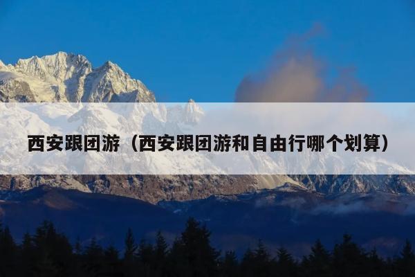 西安跟团游（西安跟团游和自由行哪个划算）