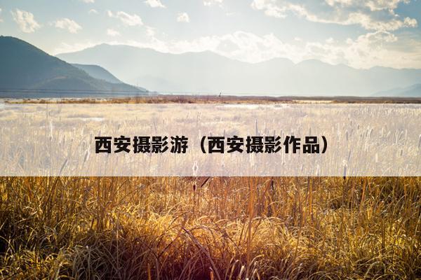 西安摄影游（西安摄影作品）