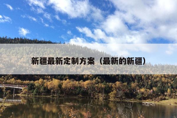新疆最新定制方案（最新的新疆）