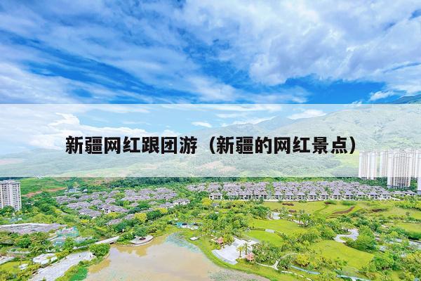 新疆网红跟团游（新疆的网红景点）