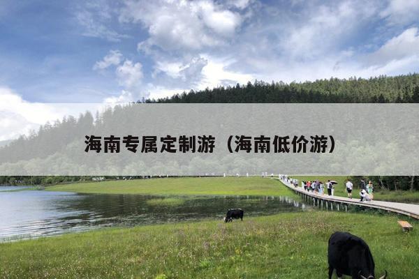 海南专属定制游（海南低价游）