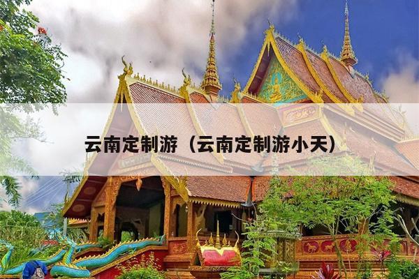 云南定制游（云南定制游小天）