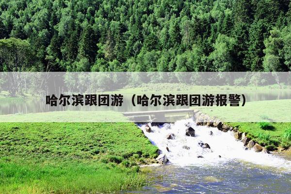 哈尔滨跟团游（哈尔滨跟团游报警）