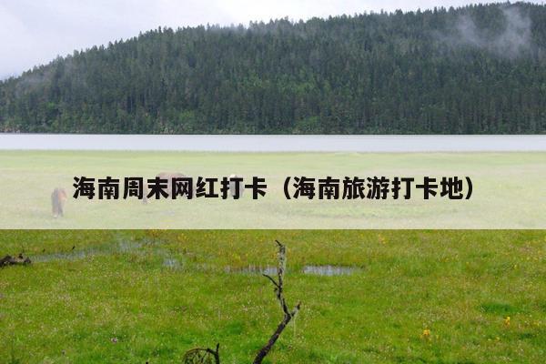 海南周末网红打卡（海南旅游打卡地）