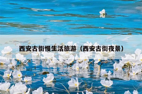 西安古街慢生活旅游（西安古街夜景）