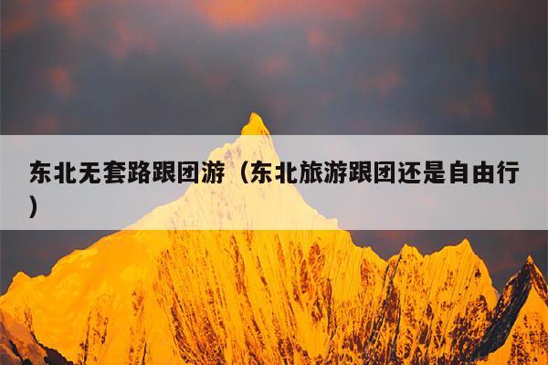 东北无套路跟团游（东北旅游跟团还是自由行）