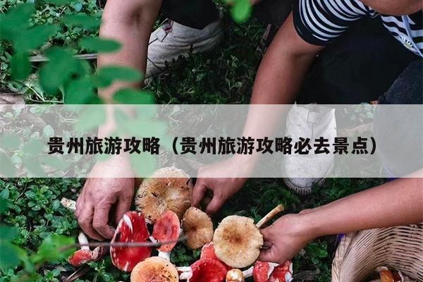 贵州旅游攻略（贵州旅游攻略必去景点）
