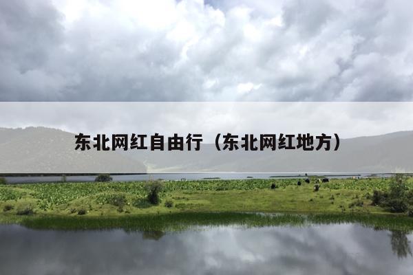 东北网红自由行（东北网红地方）