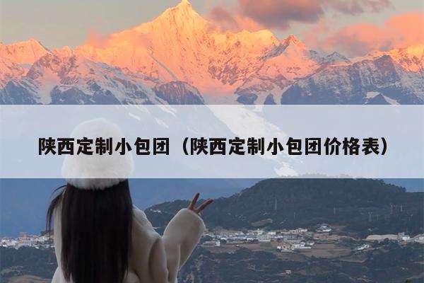 陕西定制小包团（陕西定制小包团价格表）