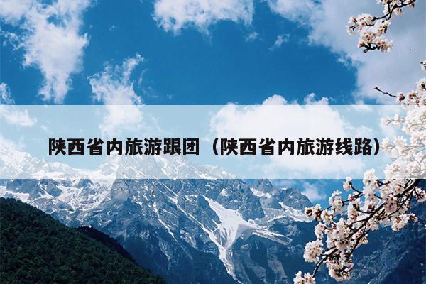 陕西省内旅游跟团（陕西省内旅游线路）