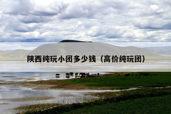 陕西纯玩小团多少钱（高价纯玩团）