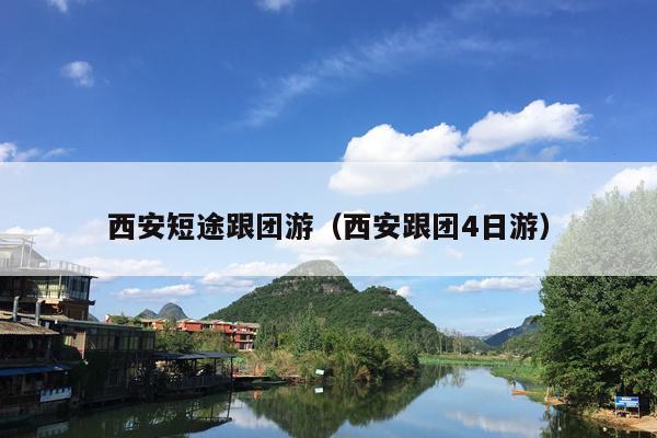西安短途跟团游（西安跟团4日游）