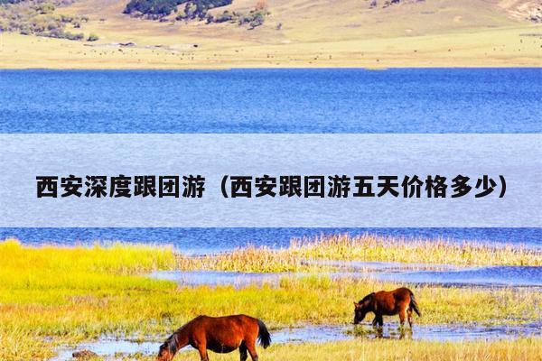西安深度跟团游（西安跟团游五天价格多少）