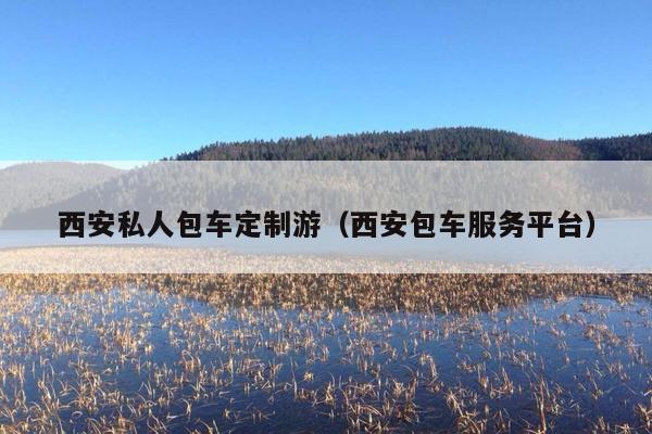 西安私人包车定制游（西安包车服务平台）
