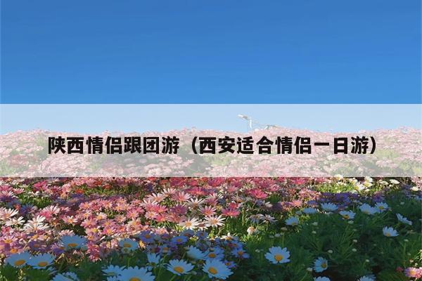 陕西情侣跟团游（西安适合情侣一日游）